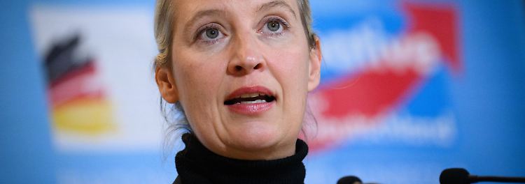 AfD-Chefin Alice Weidel (Archivfoto)