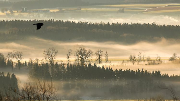 Frühlingshafte Morgenstimmung in Baden-Württemberg. Bald ist es damit wieder vorbei.
