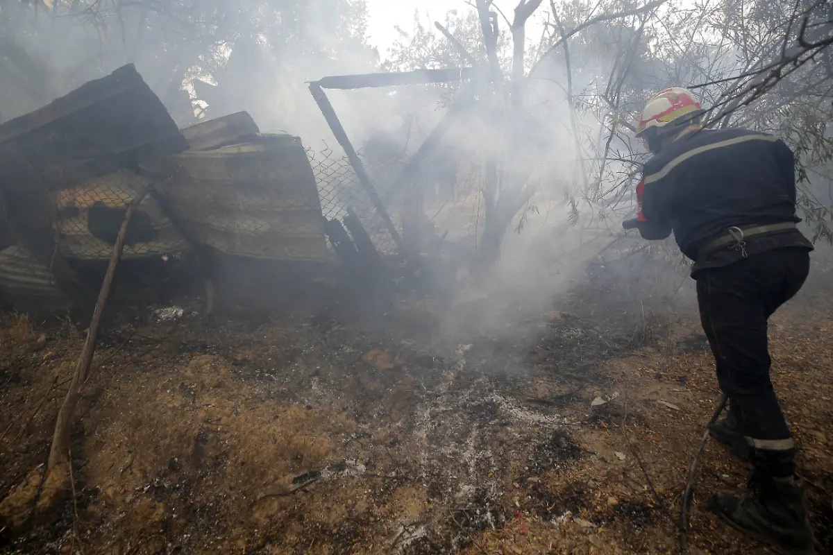 6e0db3fd5bd9196374cff202906b9140