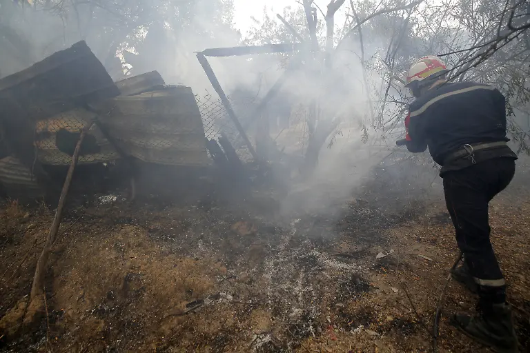 6e0db3fd5bd9196374cff202906b9140