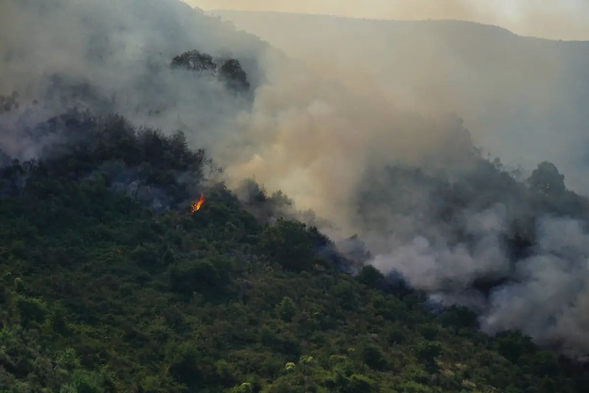 e213194cebce7be06ac45893fc603d85