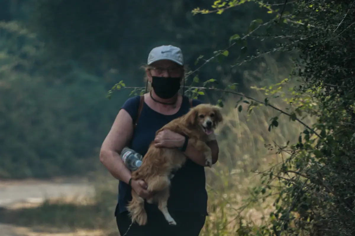 b5ddc0db737ea3b33ee9c2c729ea6c0c