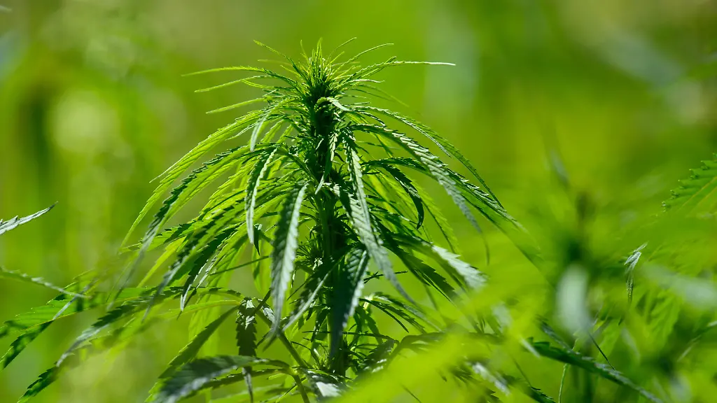 78c8555b46bd5c8a92610ac7eccc538f