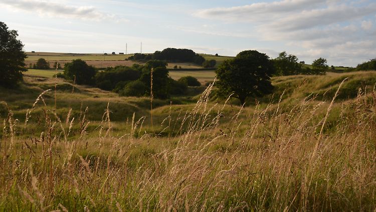 Mit Gras bewachsene Hügel markieren den Standort der Bleimine aus der Römerzeit in Charterhouse auf Mendip im Vereinigten Königreich.