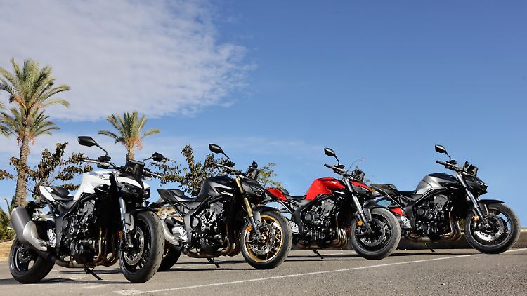 Für Fahranfänger eignet sich die Honda CB1000 Hornet nicht so sehr.