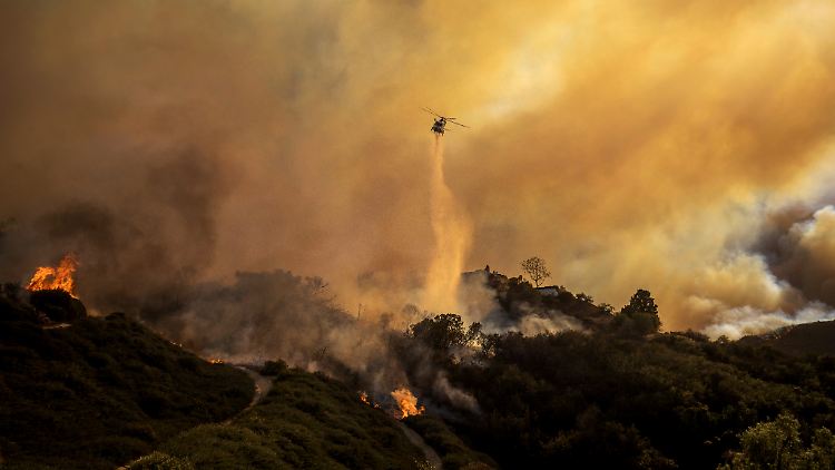 Ein Hubschrauber wirft im Stadtteil Pacific Palisades von Los Angeles Wasser auf das sich ausbreitende Feuer.