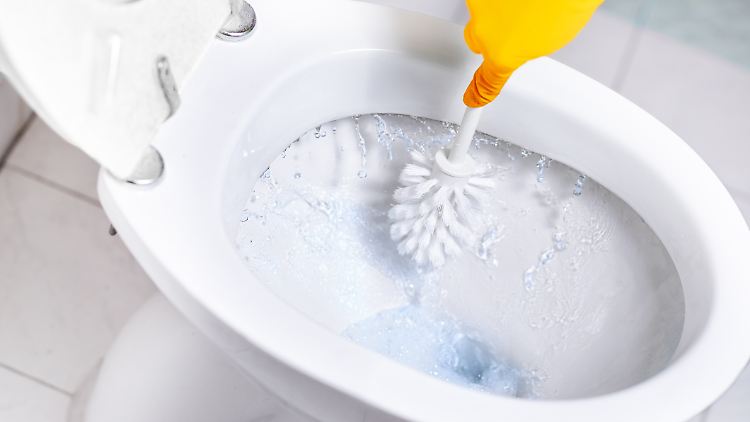 Urinstein entfernen in der Toilette: So wird man die Verfärbungen los.