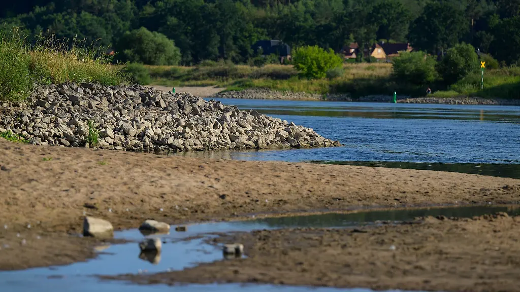 Sandbaenke-schauen-am-Ufer-der-Elbe-aus-dem-Wasser