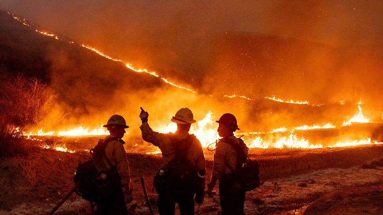 Die Feuerwehrleute kämpfen gegen die Flammen an.