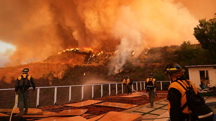 Feuerwehrleute im Einsatz gegen das Palisades-Feuer im Mandeville Canyon.