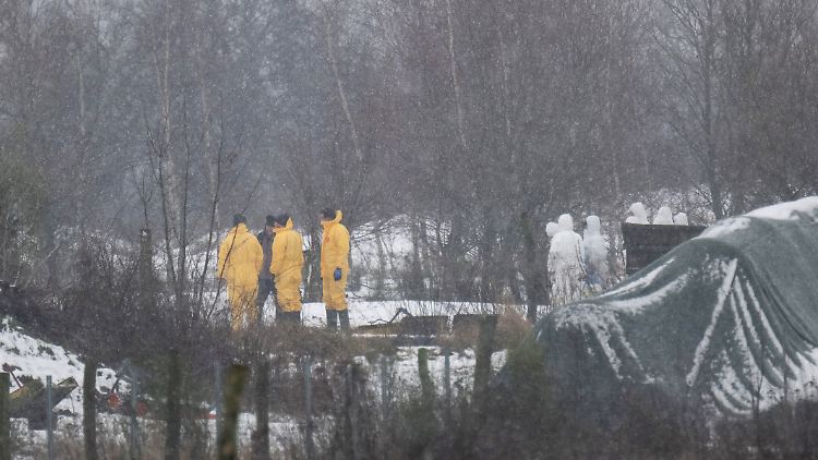 Im brandenburgischen Hönow am Berliner Stadtrand brach in einer Wasserbüffel-Herde die Maul- und Klauenseuche aus.
