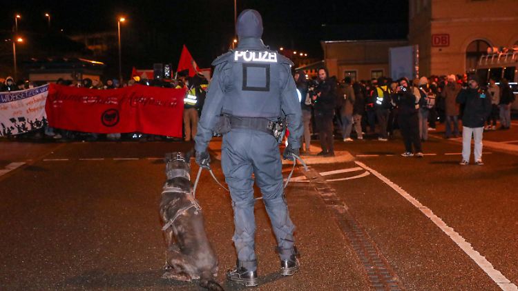 Der Einsatz von Schutzhunden ist für die Polizei ein Mittel, um den Parteitag der AfD abzusichern.
