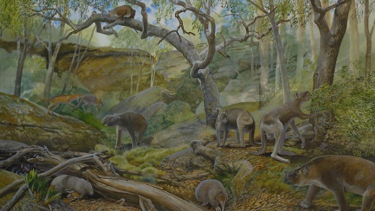 Künstlerische Darstellung, wie die Flora und Fauna der Naracoorte-Höhlen im Jungpleistozän ausgesehen haben könnte.