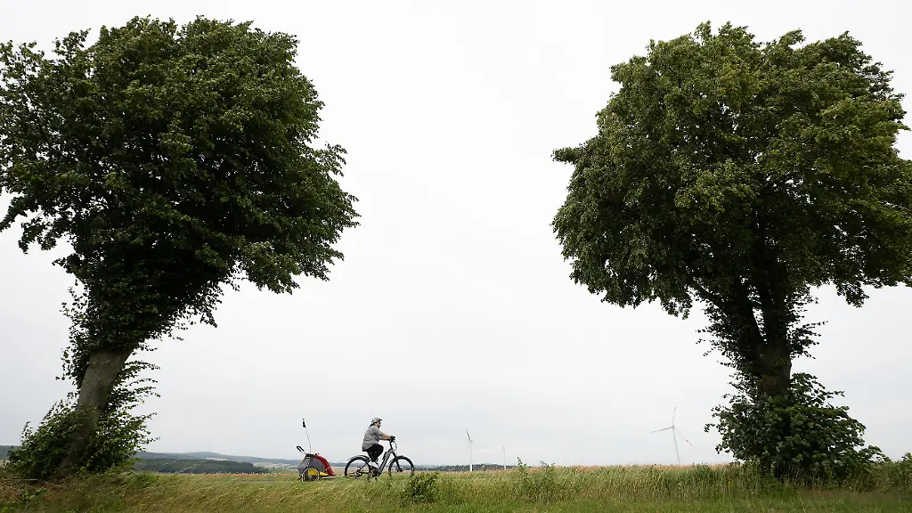 0733d7b29f417895afefd88ac16f3cc1