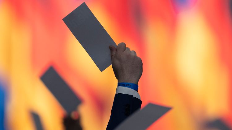 Gegen den Willen der Jungen Alternative trennte sich die AfD am Wochenende in Riesa von ihrem Nachwuchsverein.