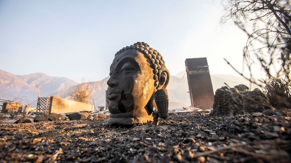 Ein Buddha-Kopf ragt einsam aus einem Trümmerfeld, ...