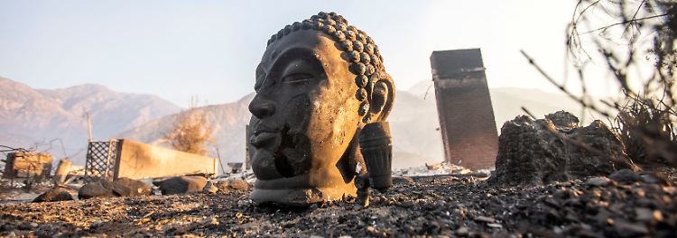 Ein Buddha-Kopf ragt einsam aus einem Trümmerfeld, ...
