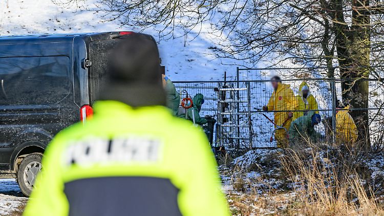 MKS-Ausbruch in Brandenburg: Personen in Schutzkleidung gehen über eine Weide des betroffenen Betriebes, während Feuerwehr und Polizei das Gelände weiträumig abgesperrt haben.