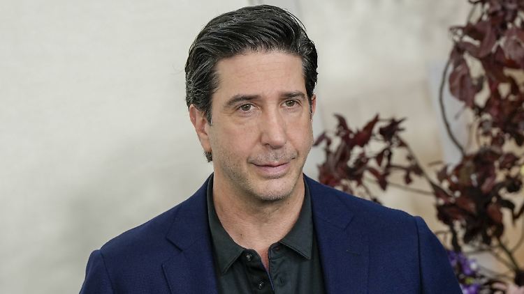Wurde mit der Hitserie "Friends" zum Star: David Schwimmer.