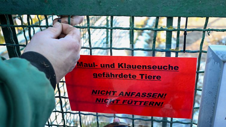Noch reichen die Untersuchungsergebnisse nicht aus, um die Lage abschließend zu bewerten, erklärt das brandenburgische Landwirtschaftsministerium.