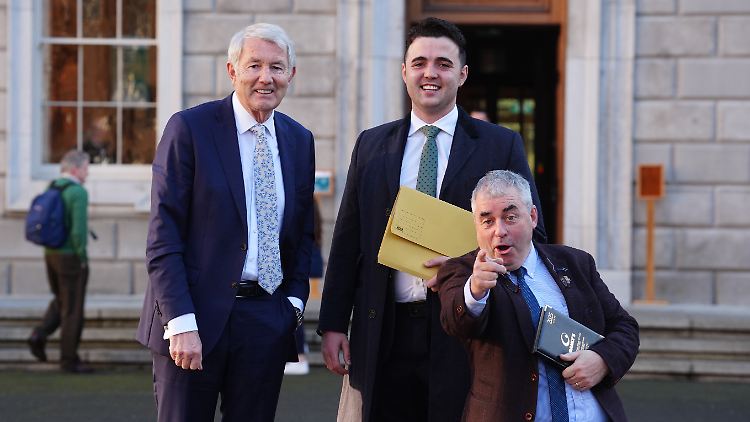 Die Gruppe der Unabhängigen verhilft der Mitte-Rechts-Regierung in Irland zur Mehrheit.
