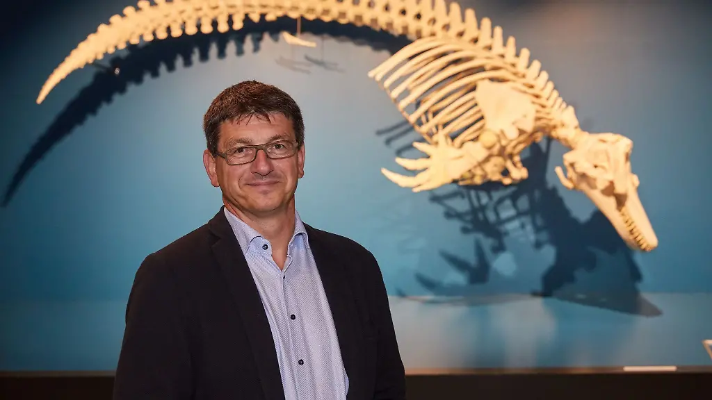 Matthias-Glaubrecht-steht-vor-dem-Skelett-von-einem-Schwertwal-im-Zoologischen-Museum