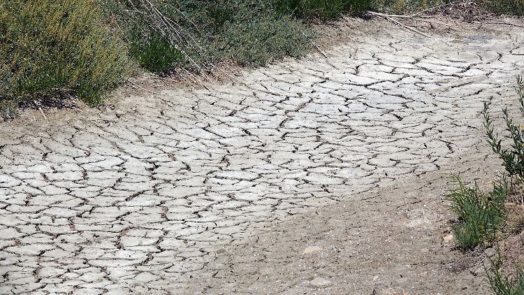 Wenn der Boden austrocknet, nimmt auch die Bodenerosion zu. 