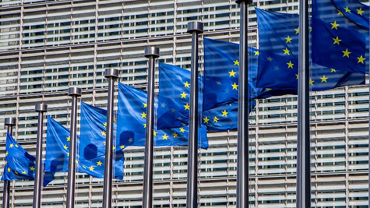 Die EU will etwaige Verstöße gegen den Digital Services Act prüfen.