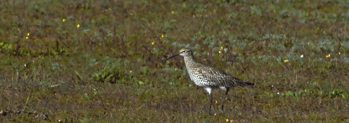 imago0760003100h.jpg