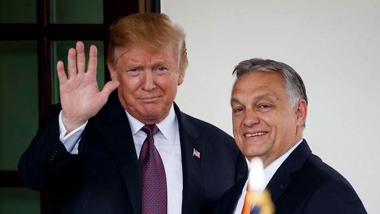Orban und Trump verbindet mehr als nur persönliche Zuneigung.