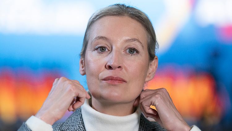 In ihrer Parteitagsrede in Riesa sprach Kanzlerkandidatin Alice Weidel unter anderem von "Remigration".