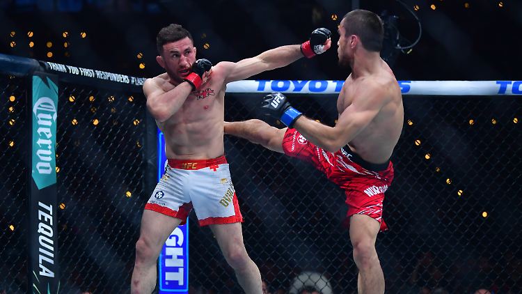 Nicht der Hauptkampf, aber das Highlight in Los Angeles: Merab Dvalishvili (l.) gegen Umar Nurmagomedov.