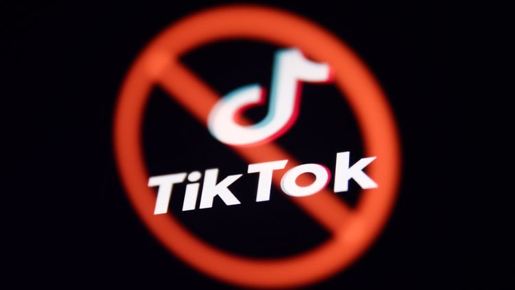 "Wir haben erlebt, dass Tiktok Desinformation verbreitet und eine Plattform für Wahlmanipulationen ist", sagte Tsahkna.