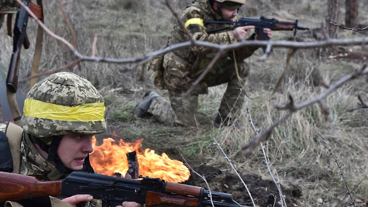 Ukrainische Soldaten bei einer Übung in der Region Saporischschja. 