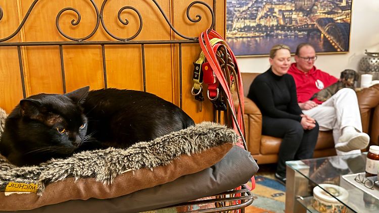 Aramis zurück auf dem heimischen Kuschelkissen. 