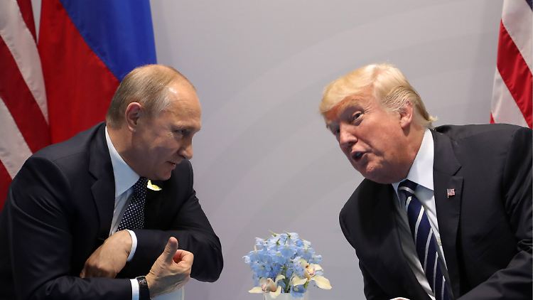 Trump und Putin signalisieren Gesprächsbereitschaft.