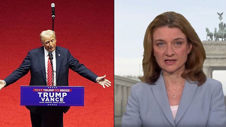 Daniela Schwarzer Bertelsmann Trump.jpg