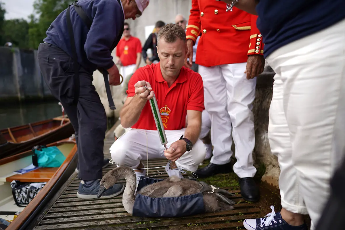 20048aadafca7dca47fb1d1441ad0296