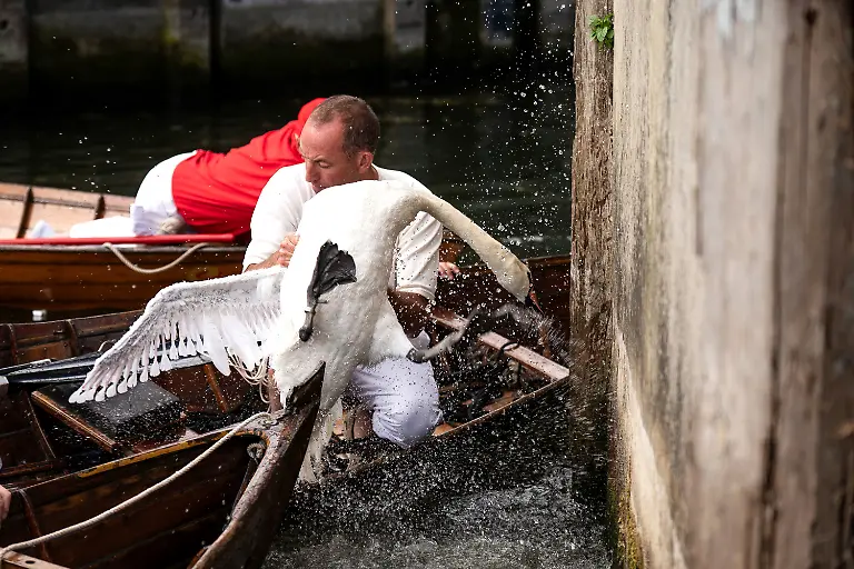 31c2c37c9d3eaa8416ac25d8748be0a5