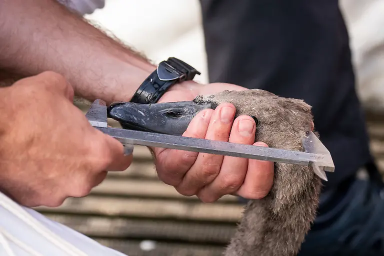 ef6df873b57e37b85006d62aa5e68893