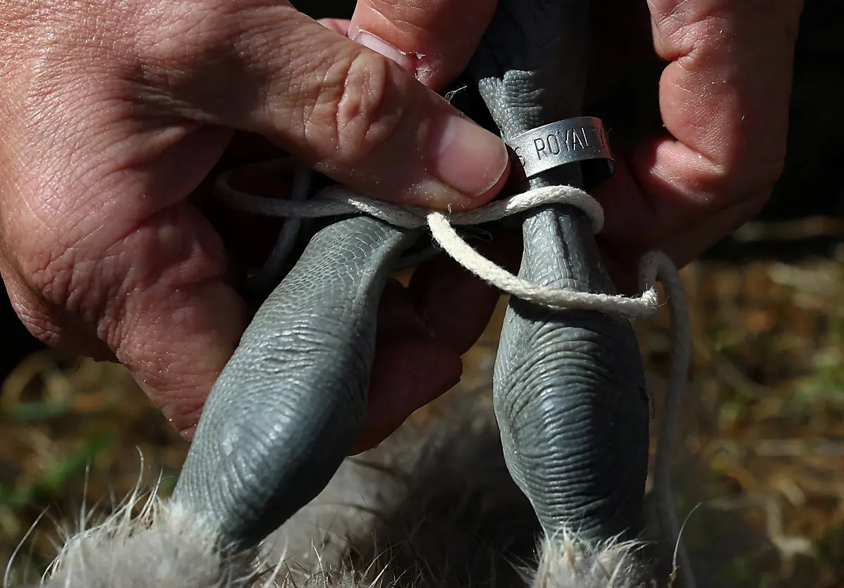 da0bfc89d333d55bc424b186ba12bf66