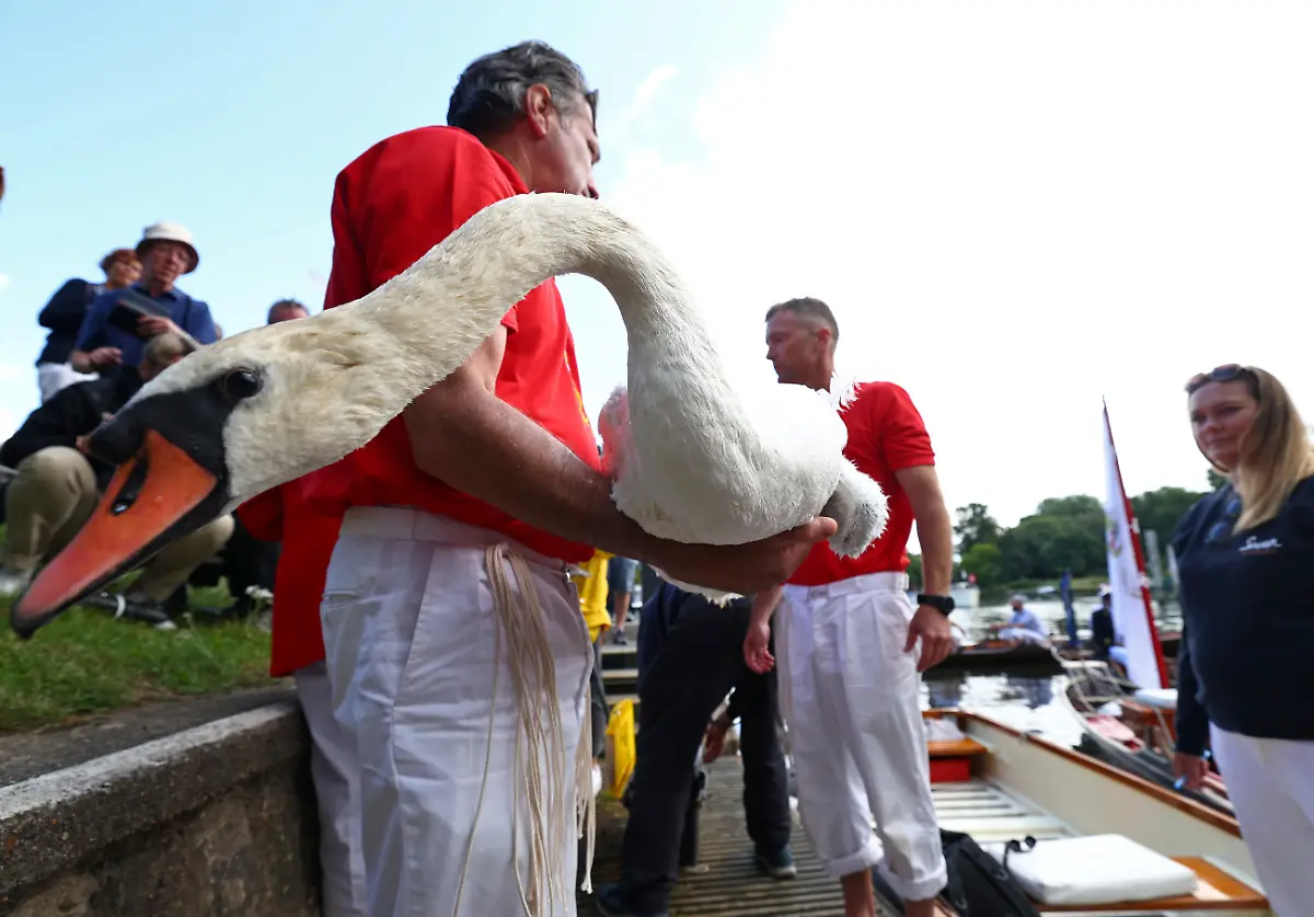 9e21eab22dca65c26df53dece4da1305