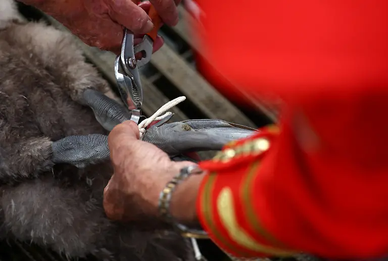 e1e84d507c15f1e8901c0bd8a8b4dc24