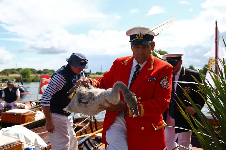 3d34ca88190bcba567ef9a11c9fda273