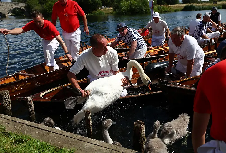 a922464f296a0b76d33014cf75f863b3