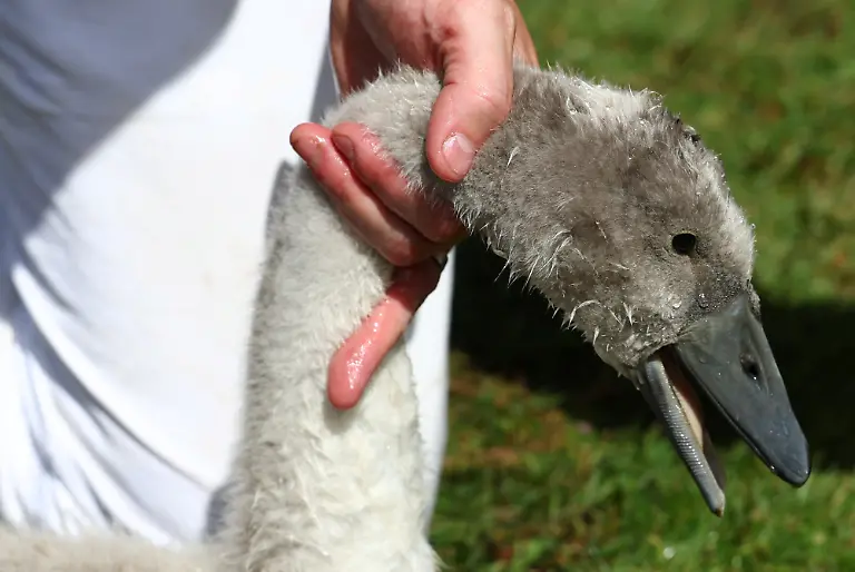 b9a68ce093cca5f2be4263dd54873785