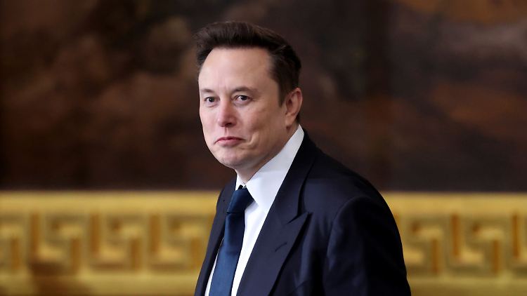 Wird Musk bald auch noch Tiktok-Eigner?