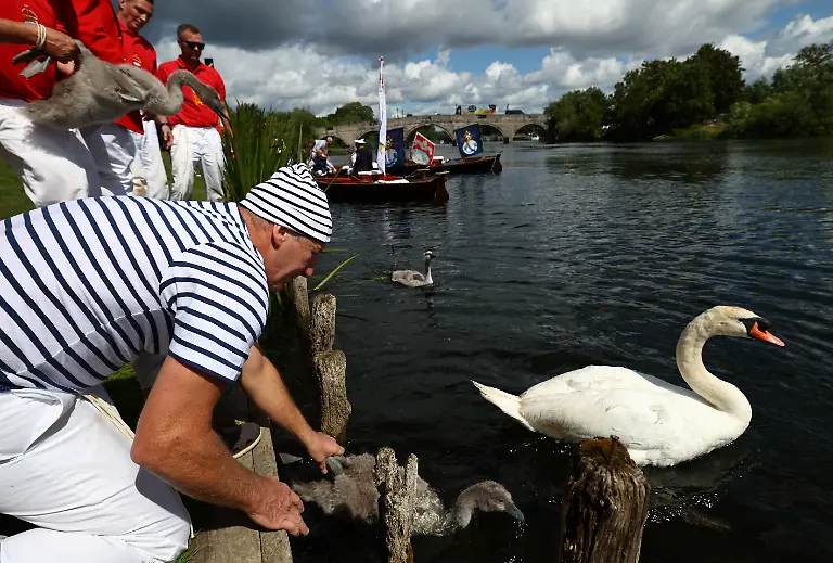 a3b6a0494ed819d13b8c9464343d9b46