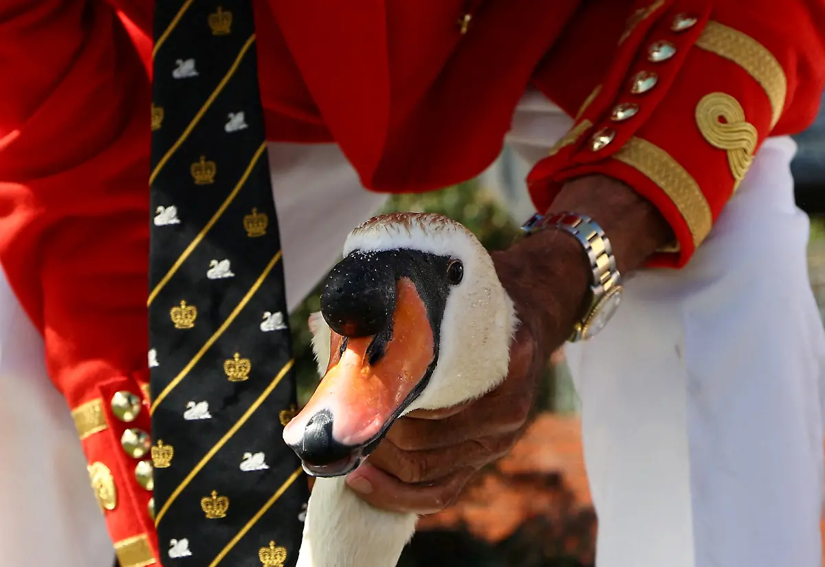 2108fee6281f1062e23deae2d98981dc