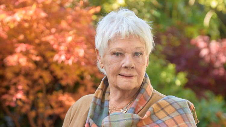 Judi Dench sieht kaum noch etwas - doch die Schauspielerin will sich nicht unterkriegen lassen.